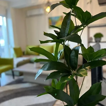 Optima Lux Apartman Free Parking *